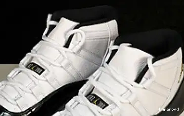Hyperoad “DMP” Jordan Air 11 0615